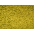 thumbnail image 1 of Ahgly Company Machine Washable Indoor Rectangle Transitional Dark Golden Rod Brown Area Rugs, 5' x 7', 1 of 7