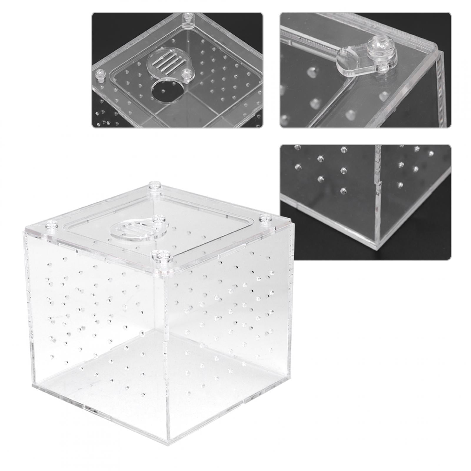 DOACT Transparent Reptile Breeding Box, Breeding Box, Snails For