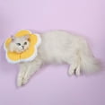 thumbnail image 4 of Ludlz Cute Flower Recovery Collar for Cats and Puppies, Soft Adjustable Protective Pet E Collar Neck Cone After Surgery, Fit for Kitties, Small Dogs, 4 of 6
