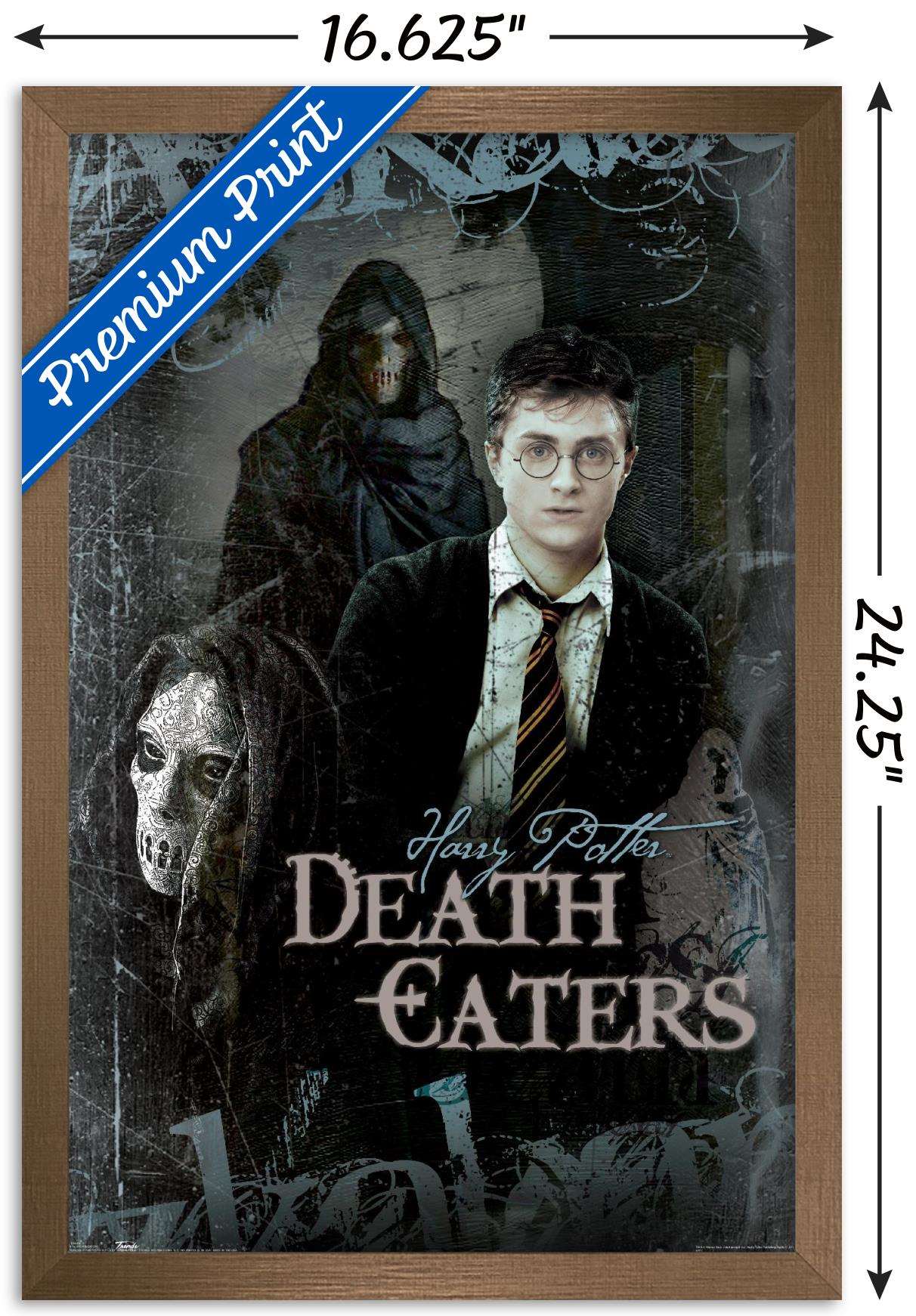 Harry Potter and the Order of the Phoenix - Death Eaters Wall Poster, 14.725" x 22.375", Framed