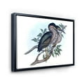 thumbnail image 3 of Designart 'Ancient Australian Birds VII' Traditional Framed Canvas Wall Art Print, 3 of 5