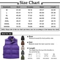 thumbnail image 3 of Winter Clean Standing Collar, Down Cotton Camisole, Slim Fitting And Handsome Young Man 2XL, 3 of 4