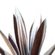 thumbnail image 2 of Adornos plantas agave Kuymtek Hierro Forjado Decorativos para Patio jardín astilla 27 CM, 2 of 6