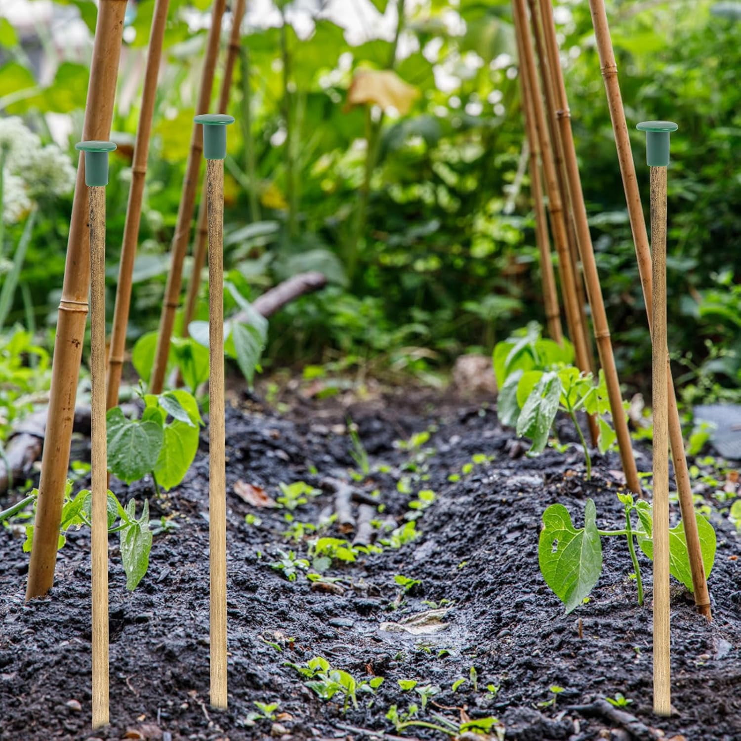 ABCISI 36Pcs Garden Safety Cane Caps Plastic Mushroom Rebar Safety Caps Tube Screw on Rebar Stakes for Garden Canes Green