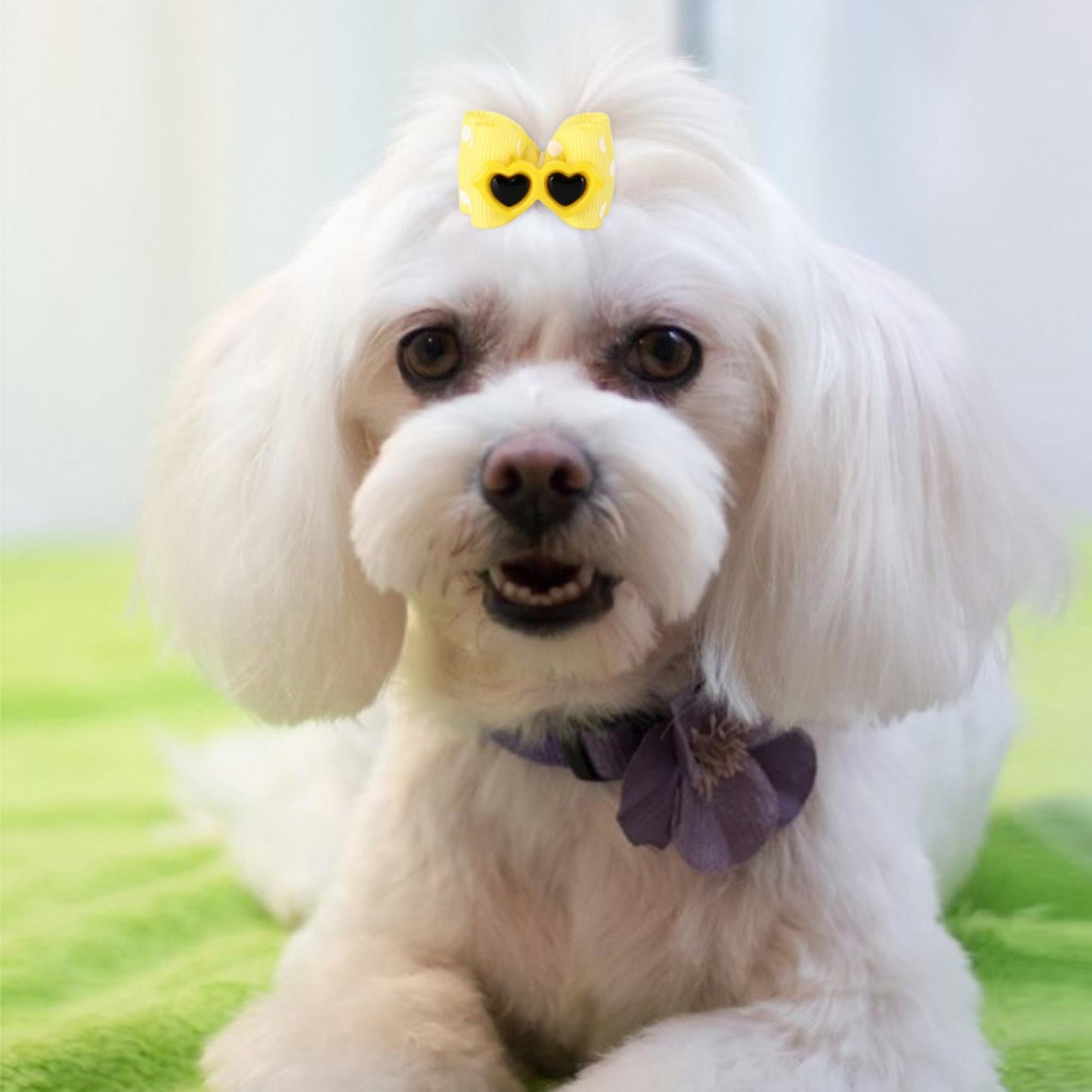 Download Anggrek Cat Hair Bows Pet Hair Bows Non Toxic Hair Bowknot Bows Small Dogs For Cat Walmart Com Walmart Com