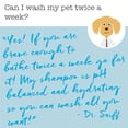 thumbnail image 5 of Dr. Sniff Sulfate-Free Coat Wash Shampoo for Dogs and Cats, 5 of 6
