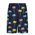 thumbnail image 6 of Mens Hawaii Swim Trunks Quick Dry Swim Shorts Bathing Suit Beach Shorts with Compression Liner 5.5" Inseam Lightweight Water Resistant Quick Dry Fishing Hiking Shorts, 6 of 6