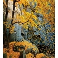 thumbnail image 3 of Leaves Duvet Cover Set, Canadian Maple Trees Falling Leaves down Surrounded by Scenic Rocks Stones Foliage, Decorative 3 Piece Bedding Set with 2 Pillow Shams, King Size, Grey Orange, by Ambesonne, 3 of 3