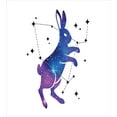 thumbnail image 3 of Ambesonne Celestial Duvet Cover Sets, Galaxy Bunny Stars Line, 2-Twin, Royal Blue Fuchsia, 3 of 4