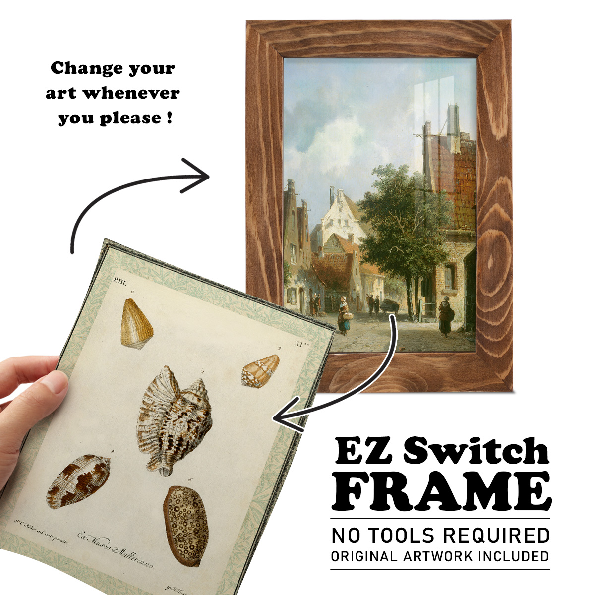 Bookplate Shells II - Framed Print w/glass - Walnut