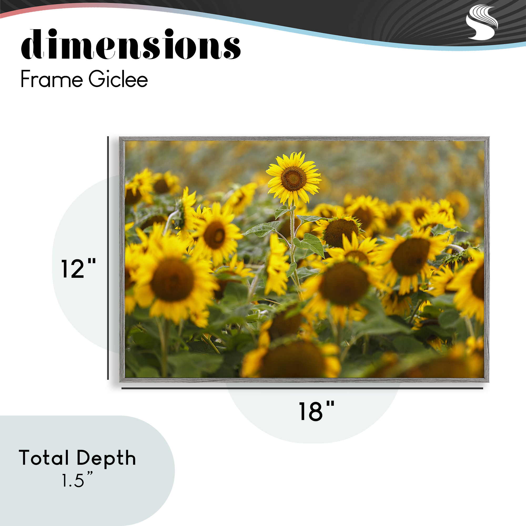 Central Sunflower in Meadow Gray Framed Giclee Art, design by Andy Crawford