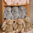 thumbnail image 2 of Jellycat Bonnie Rabbit Floral Ears Muñecos de Peluche Conejo Muñecas Kawaii Decoración de Habitación Juguete Sofá Suave Cojín Regalos de Cumpleaños para Niños

---, 2 of 10