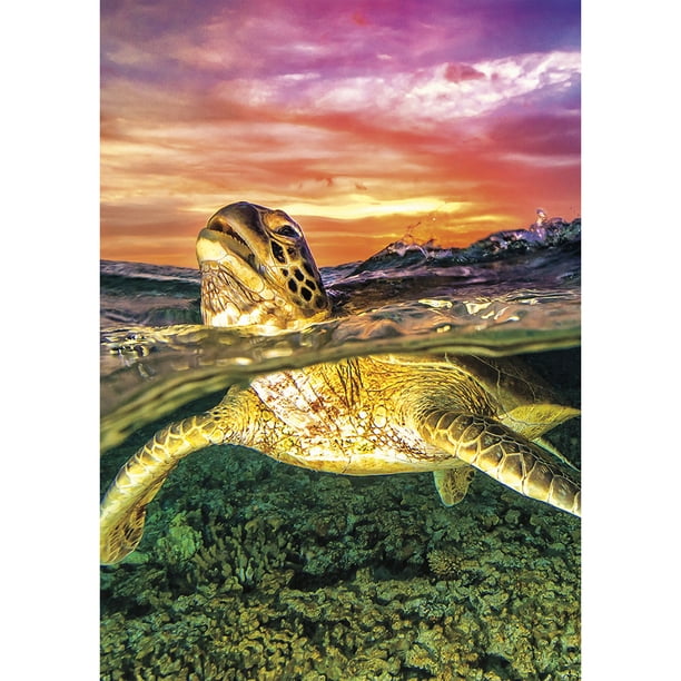 Taladro Diamante Pintura (DE3383) 5D DIY Bordado de punto de cruz completo (A930 Tortuga) 20X30cm Hugtrwg Para estrenar