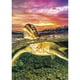 thumbnail image 1 of Taladro Diamante Pintura (DE3383) 5D DIY Bordado de punto de cruz completo (A930 Tortuga) 20X30cm Hugtrwg Para estrenar, 1 of 1