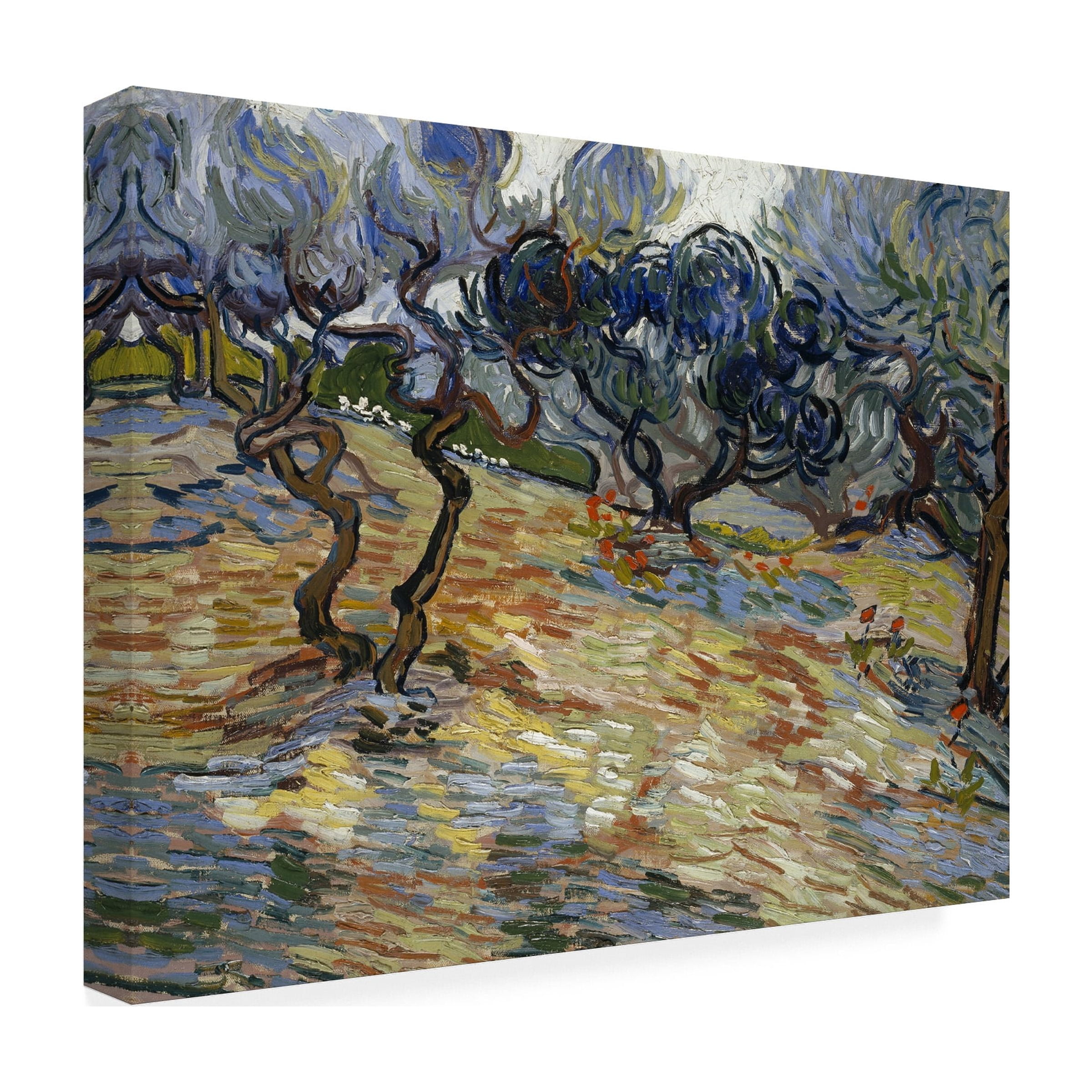 Van Gogh 'Olive Trees' Canvas Art