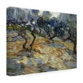 thumbnail image 4 of Van Gogh 'Olive Trees' Canvas Art, 4 of 4