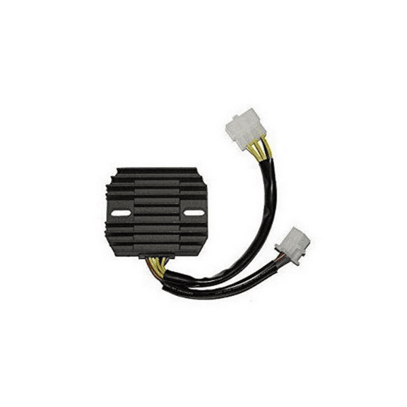 Electrosport ESR150 Regulator
