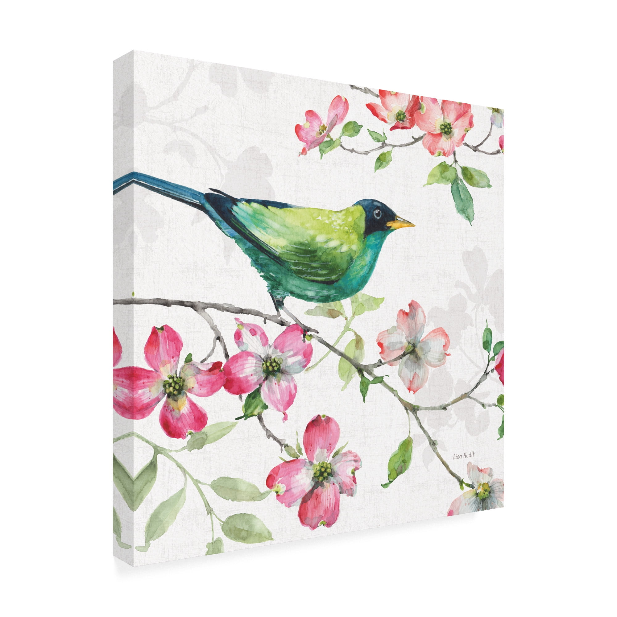 Trademark Fine Art 'Dogwood Garden II' Canvas Art by Lisa Audit