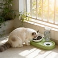 thumbnail image 6 of Dual Cat Dog Food and Water Bowl with Automatic Refill, Non-Slip Detachable Pet Feeder for Home and Travel, 6 of 6