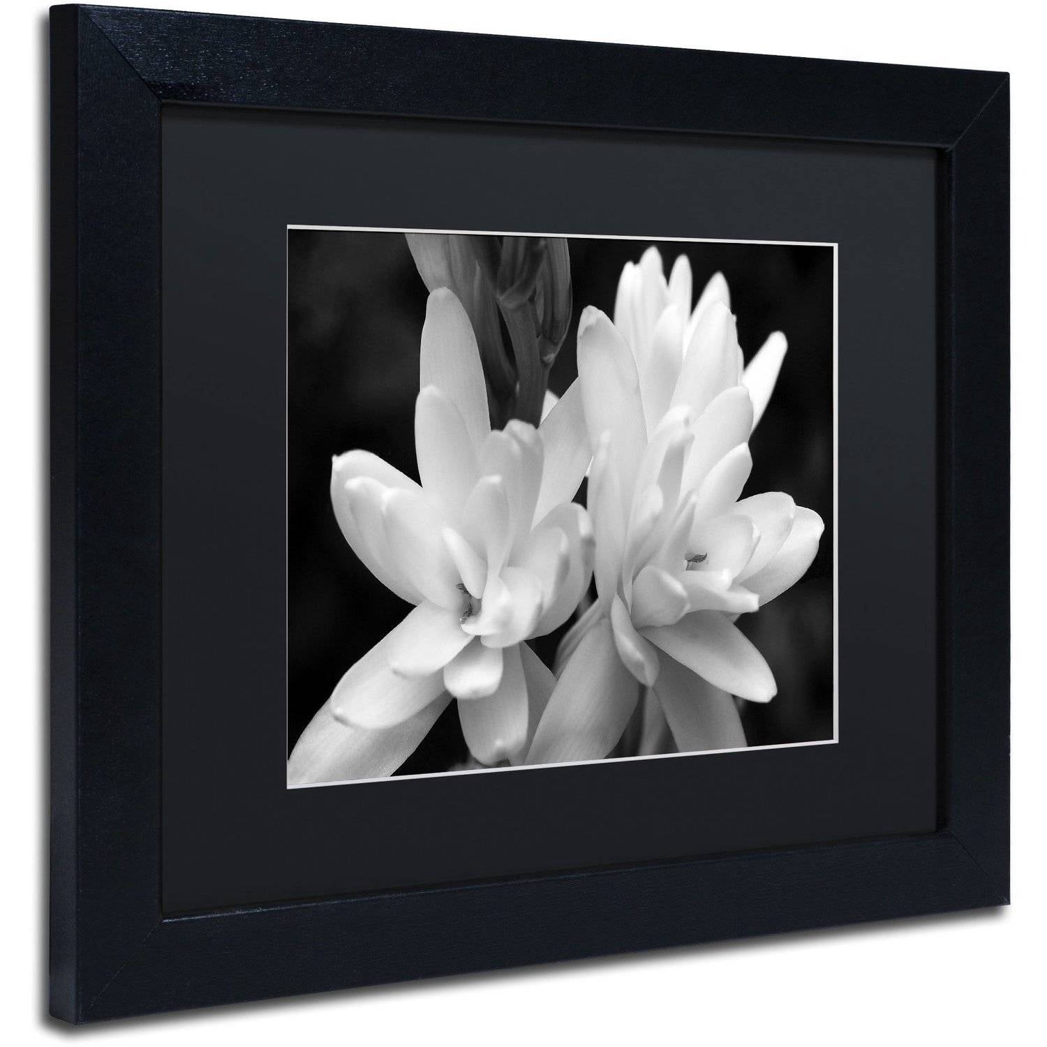 Trademark Fine Art "Tuber Rose in Black and White" Canvas Art by Kurt Shaffer, Black Matte, Black Frame