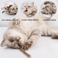 thumbnail image 2 of Pack of 10 Matatabi Cat Sticks, Dried Catnip Natural Catnip Matabi Stick Chew Cat Toy., 2 of 5