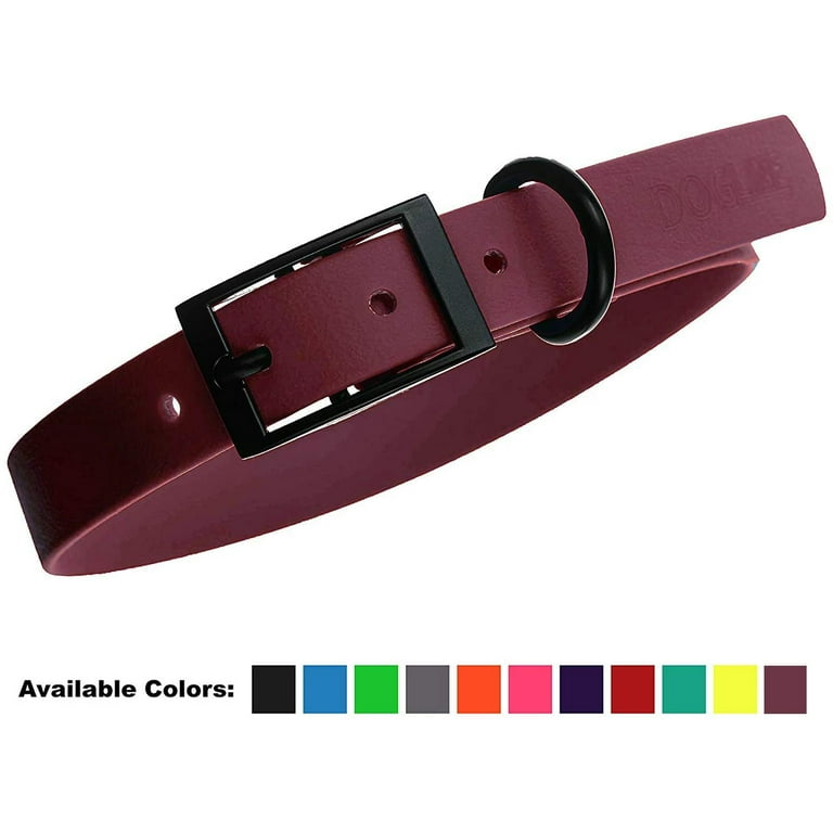 How Do You Clean A Stinky Leather Dog Collar