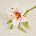 thumbnail image 3 of D-GROEE 3 Pcs Artificial Flowers Lily Real Touch Fake Flowers for Wedding Home Party Garden Shop Office Decoration Plastic Lily Faux Flowers, 3 of 8