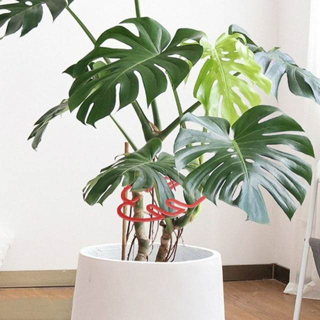 WRITWAA Tuteur de Suort Plante pour Feuille Accessoire de Propagation de Plantes d'Intérieur