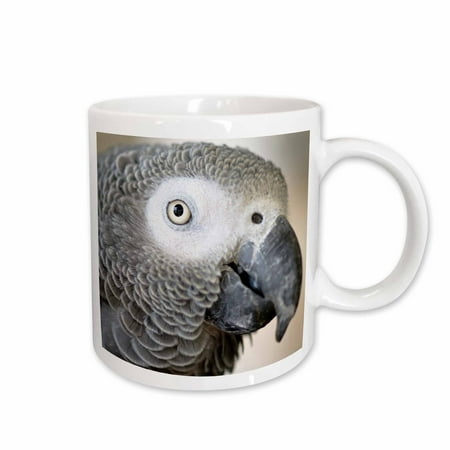 - 3dRose African Grey Parrot tropical bird - NA02 MFR0001 - MFR, Ceramic Mug, 15-ounce