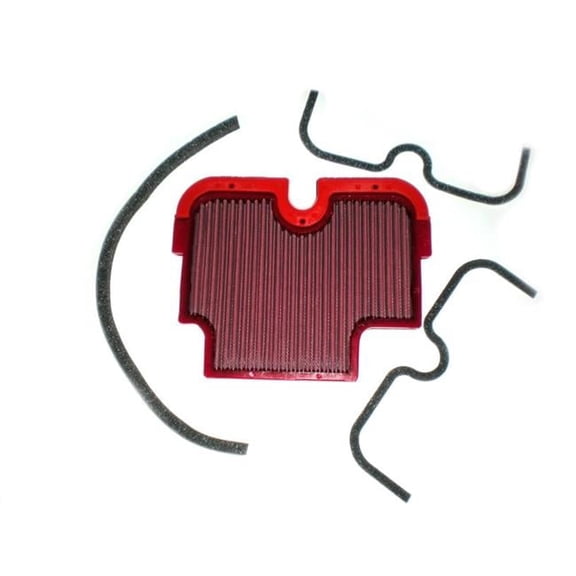 BMC Standard Replacement Air Filter (FM579/04)