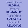 thumbnail image 4 of Plant Therapy Sensual Essential Oil Blend for Couples, Massage, Desire 100% Pure, Undiluted, Natural Aromatherapy, Therapeutic Grade 10 mL (1/3 oz), 4 of 8