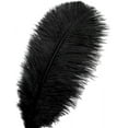 thumbnail image 2 of Black Ostrich Feathers Bulk - 24Pcs 8-10inch Feathers for Crafts,Gatsby and Halloween Party Centerpieces, 2 of 13