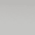 أبيض