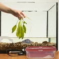 thumbnail image 3 of FONDOTIN Terrace Villa for Turtle Plastic Basking Platforms for Turtles 1Pack, 3 of 6