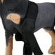 thumbnail image 4 of Protector de compresión para la articulación de la rodilla del perro, color negro - S, 4 of 9