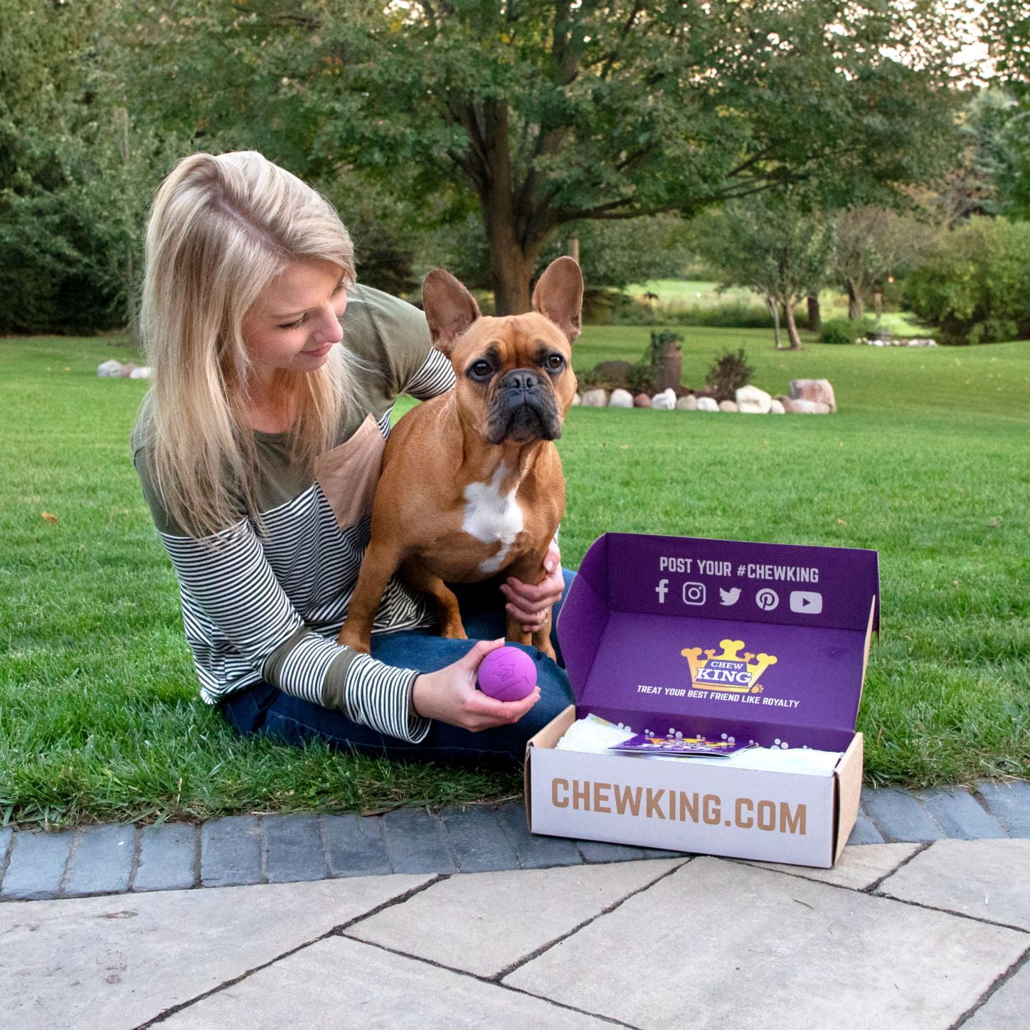 Chew King Dog Toy Box Medium- Durable Fetch Balls, Treater and Chewing Toy Collection