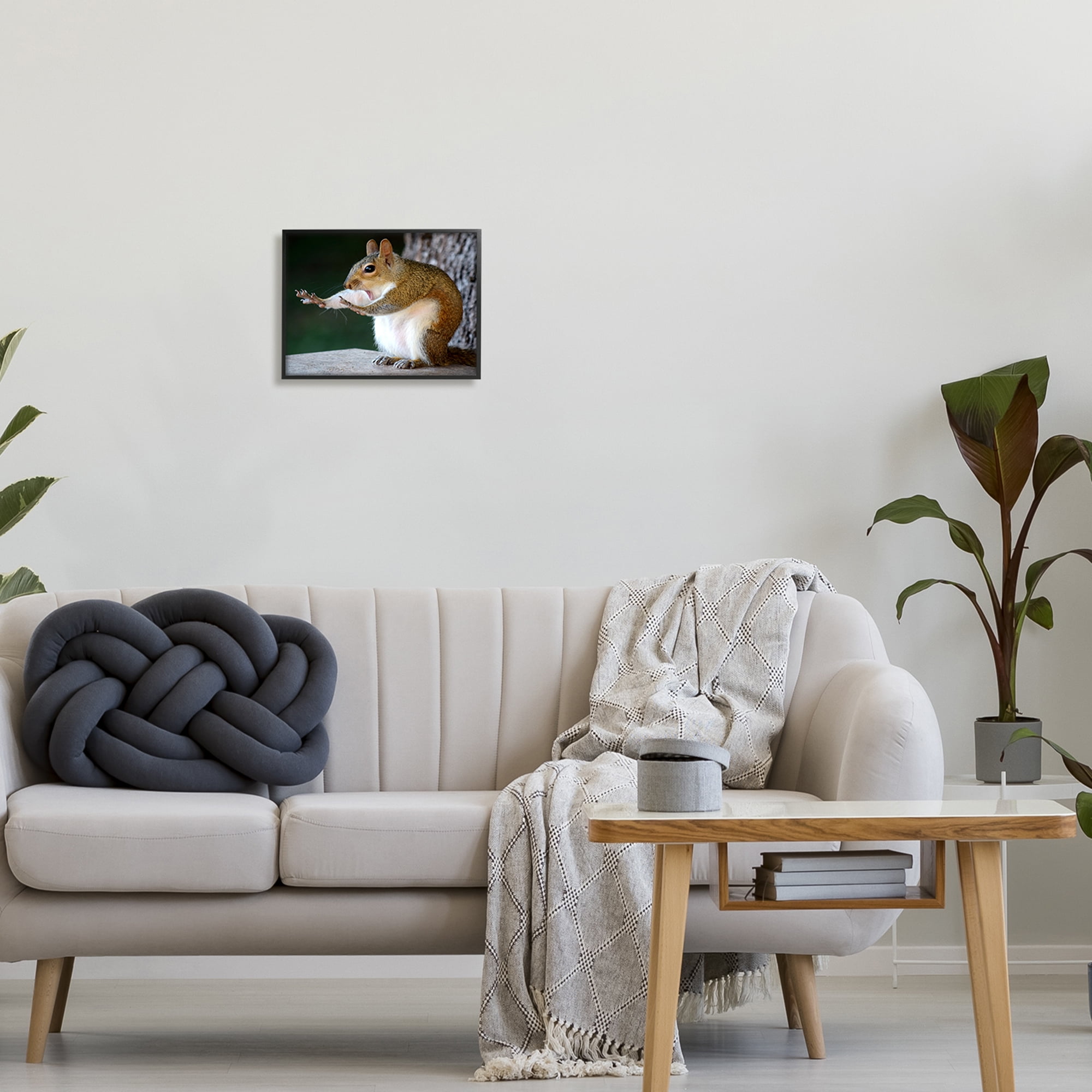 Stupell Industries Funny Shocked Pose Squirrel Animals & Insects Photography Black Framed Art Print Wall Art, 14 x 11