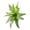 T, variant on Artificial Succulent Plants, Realistic Faux Decor for Home