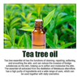 thumbnail image 4 of 2025 Tea Tree Massage Oil, Nourishing Essential Oil for Hair & Skin Hydration, 1pcs 30ml, 4 of 5