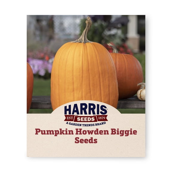 Harris Seeds Howden Biggie Pumpkin, Large Dark Orange Fruits for Fall Displays and Harvest Decorations, Treated, 25 Count
