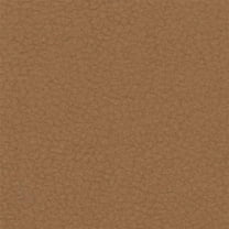 Liz Jordan-Hill Fabric by The Yard - Light Grey Upholstery Fabric Polyester Blend with Aquaclean Technology - Reupholstery Sewing Material - Carabu 69 Butterscotch Sample Swatch