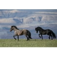 thumbnail image 2 of Walker, Carol 18x13 White Modern Wood Framed Museum Art Print Titled - Horses In The Field With Mountains, 2 of 4