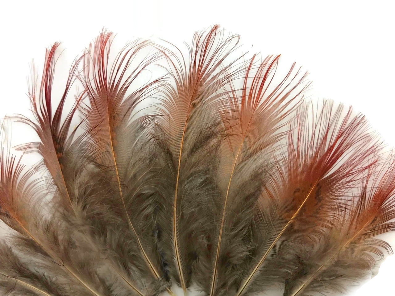 1 Pack GOLD Ringneck Pheasant Plumage Loose Feathers 0.10 oz. 