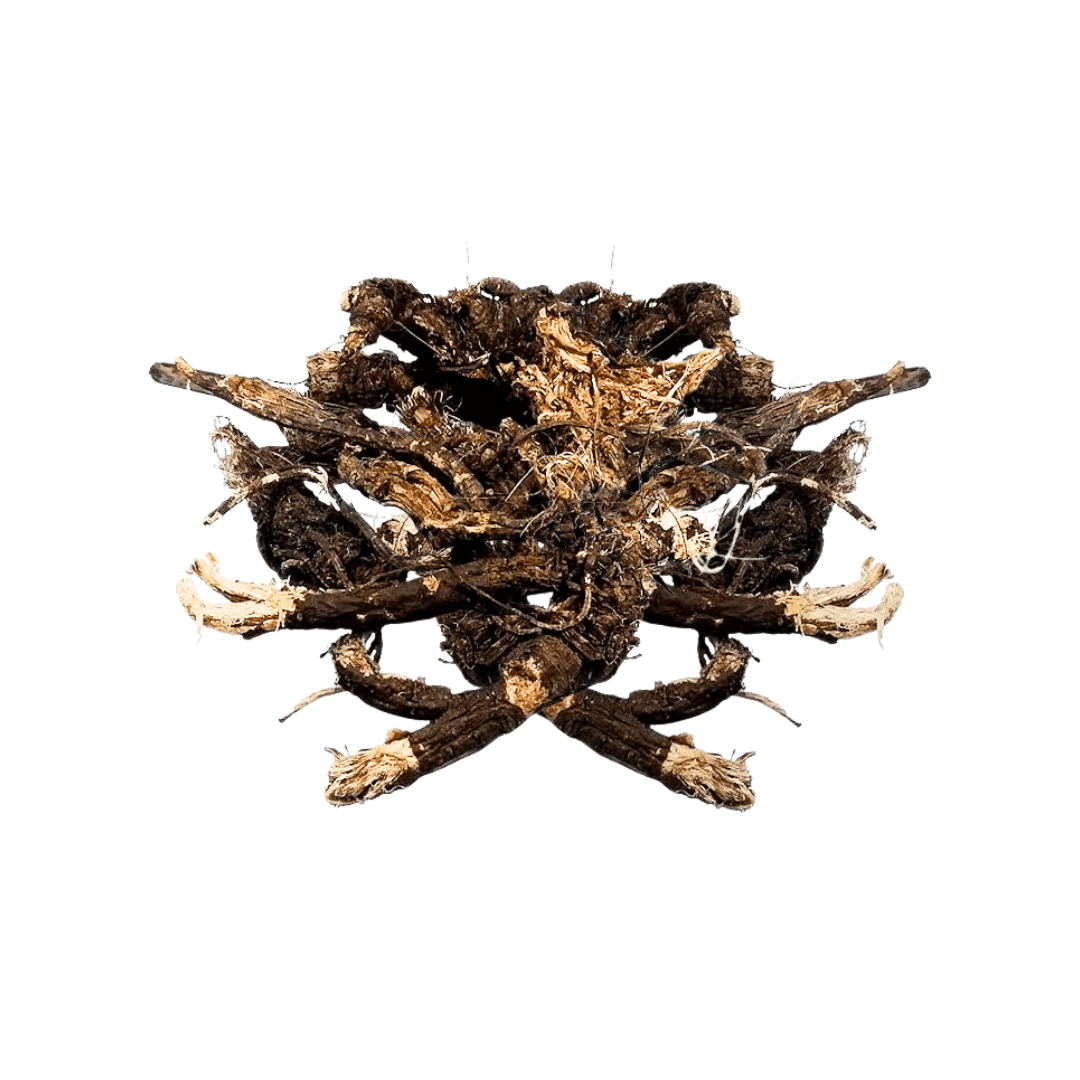 Qizning yechinishi bilan boshlanadigan jinsiy aloqa Porno klitoris sorish