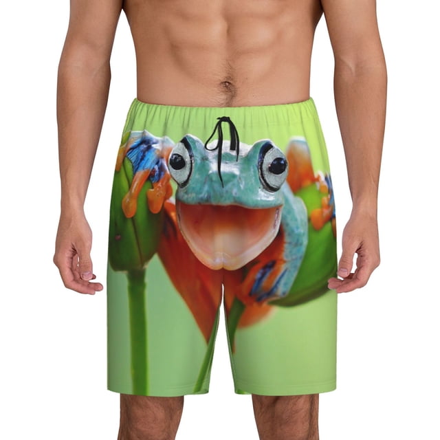 Fotbe Flying Frog On Branch Pantalones Cortos de Pijama para Hombre, Ropa de Dormir, Pantalones de Pijama Cortos para Hombre-3X-Large