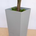 thumbnail image 4 of Maceta Bloem Tall Finley, 20 pulgadas, gris cemento, 5 galones, 4 of 7