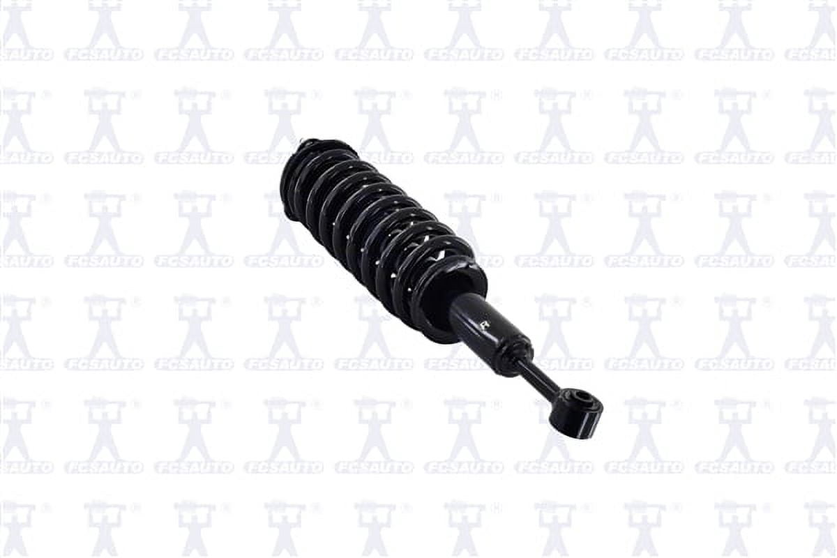 Suspension Strut and Coil Spring Assembly