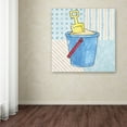 thumbnail image 3 of Trademark Fine Art "Coastal Baby I" Canvas Art by Beth Grove, 3 of 3