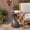 Copper, variant on Christopher Knight Home Lightweight Concrete Outdoor Side Table, Sculptural Oval Design, Copper