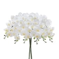 thumbnail image 1 of 3 piezas de tallos de orquídea artificial MENGJIAQI orquídeas de gran flor blanca 37 pulgadas, 1 of 7